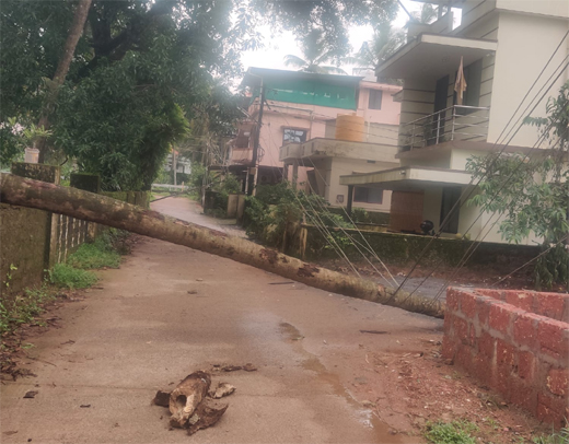 Power poles collapse